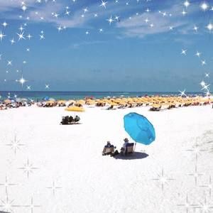 Meet your Posher, Pat